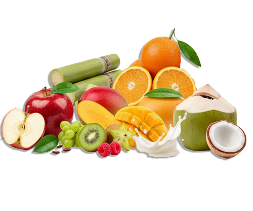 Foodking - Fast Food Restaurant WordPress Theme